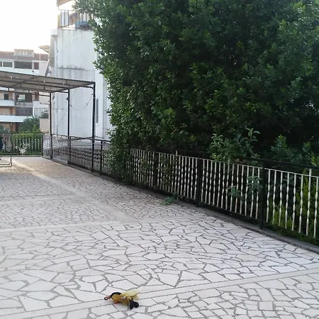 Dali * Budva